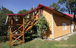 головне фото